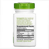 Dandelion Root - 100 vcaps, фото 2