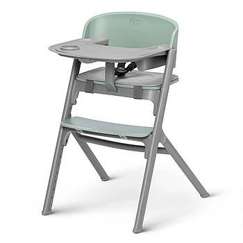 Стільчик для годування Kinderkraft Livy Olive Green (для всіх вікових груп, знімний столик) Сіро-зелений