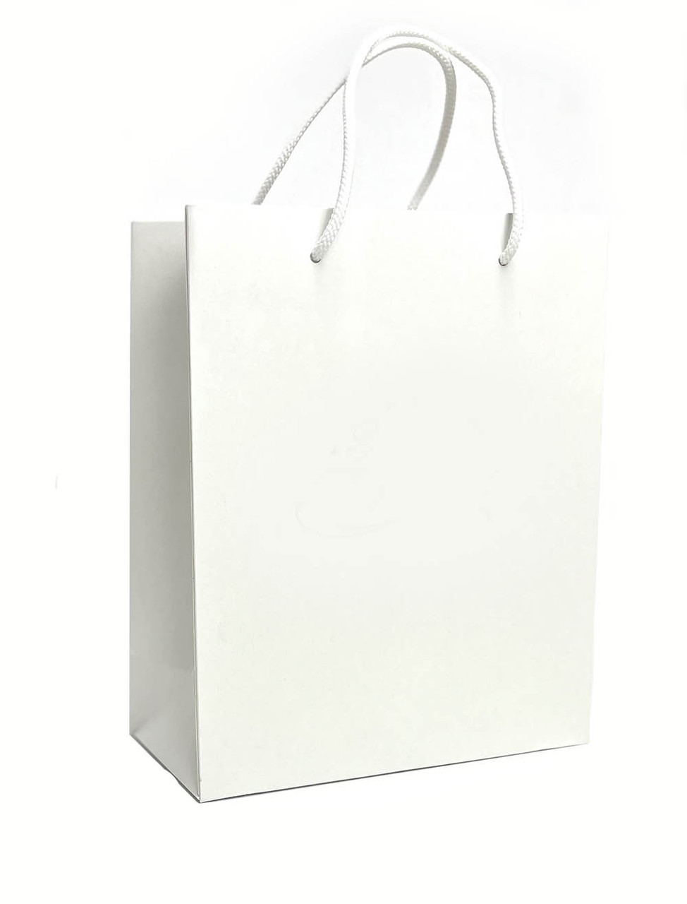 Пакет подарунковий білий (24*20*9)