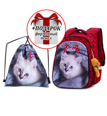 Набір шкільний для дівчинки рюкзак Winner /SkyName R1-014 + мішок для взуття (фірмовий пенал у подарунок), фото 1