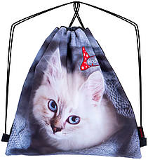 Набір шкільний для дівчинки рюкзак Winner /SkyName R1-014 + мішок для взуття (фірмовий пенал у подарунок), фото 4