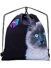 Набір шкільний для дівчинки рюкзак Winner /SkyName R1-023 + мішок для взуття (фірмовий пенал у подарунок), фото 5