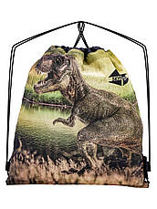 Набір шкільний для хлопчика рюкзак Winner /SkyName R3-247 + мішок для взуття (фірмовий пенал у подарунок), фото 4