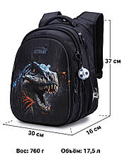 Рюкзак шкільний Winner /SkyName R1-046, фото 3