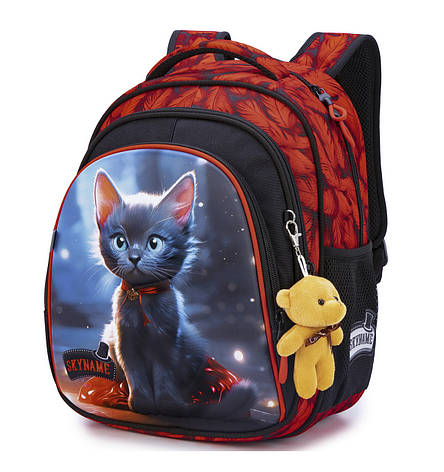 Рюкзак шкільний Winner /SkyName R2-214, фото 1