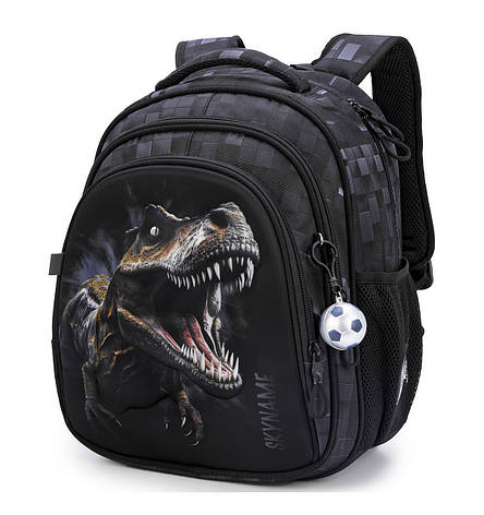 Рюкзак шкільний Winner /SkyName R2-219, фото 1