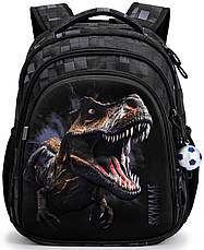 Рюкзак шкільний Winner /SkyName R2-219, фото 2