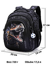 Рюкзак шкільний Winner /SkyName R2-219, фото 3