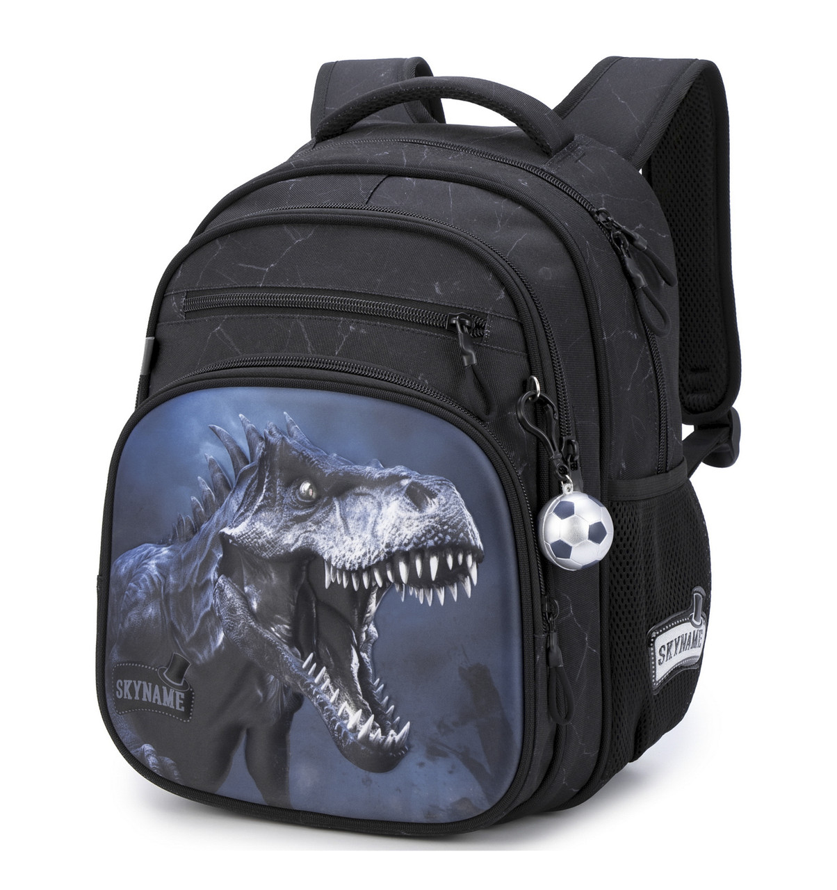 Рюкзак шкільний Winner /SkyName R3-277