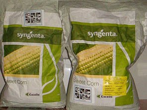 Насіння кукурудзи Спіріт F1 (Syngenta), 100 тис. насінин — рання (67 днів), цукрові, фото 2