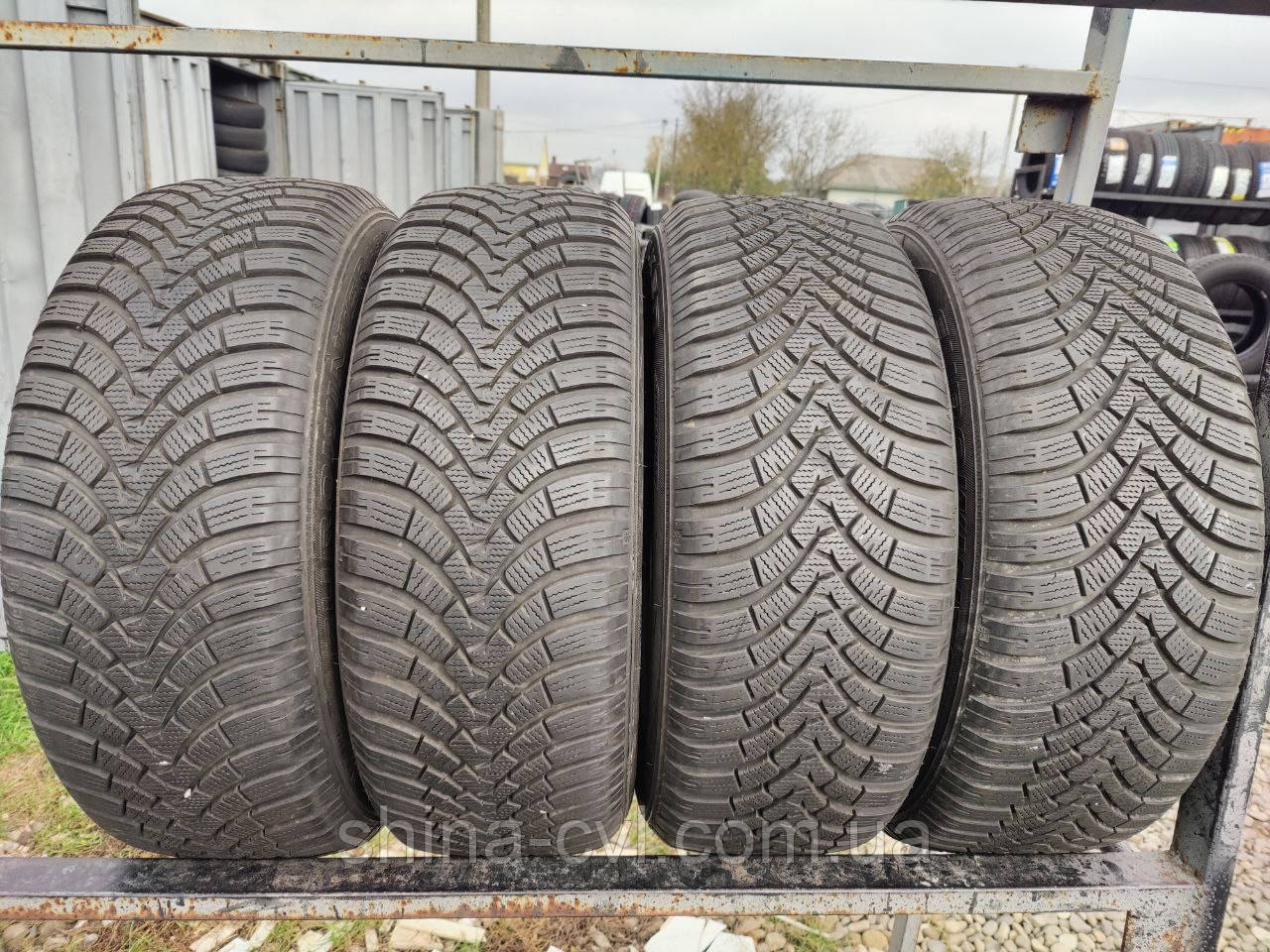 Зимові шини 215 60 r16 99H Falken Euro Winter HS01