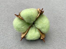 Бавовна 6см