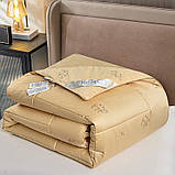 Ковдра 220×240 з верблюжого пуху|KuNmeng беж євро максі, фото 2