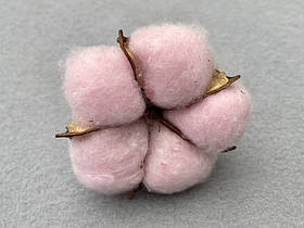 Бавовна 6см