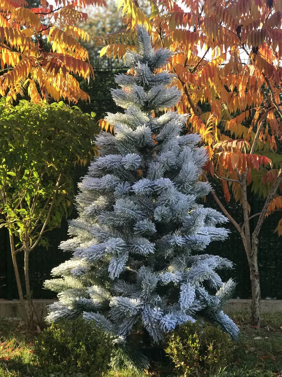 Сосна лита засніжена на металевій підставці Хвоя 1,2 м -, фото 1