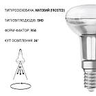 LED лампа OSRAM GL R50 E14 2,6W 210lm 4000K 230V (4058075433342), фото 2