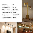 LED лампа OSRAM РАR16 50 GU10 6W 480lm 3000K 230V (4058075689626), фото 4