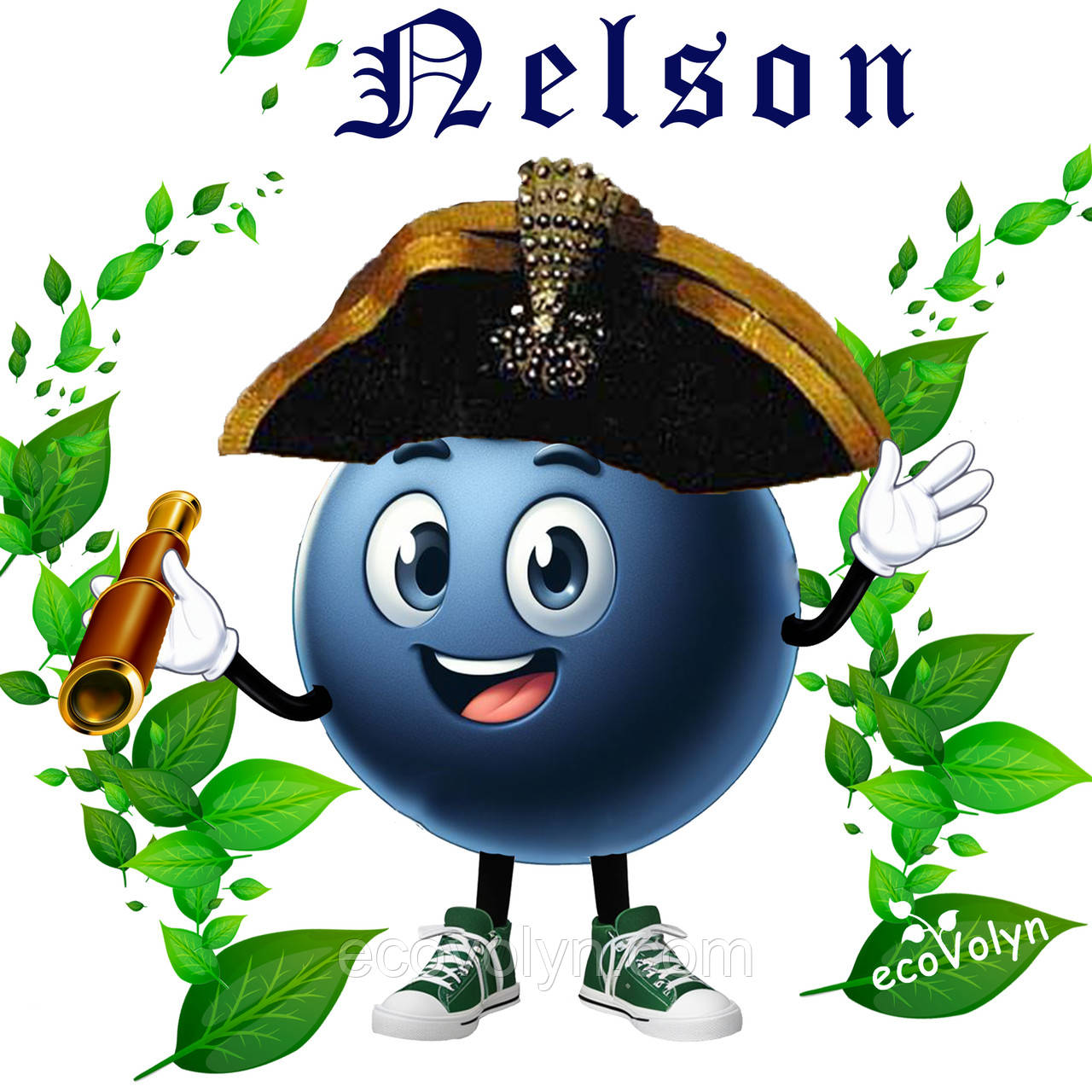 Саджанець лохина НЕЛЬСОН (Nelson) 2 річні