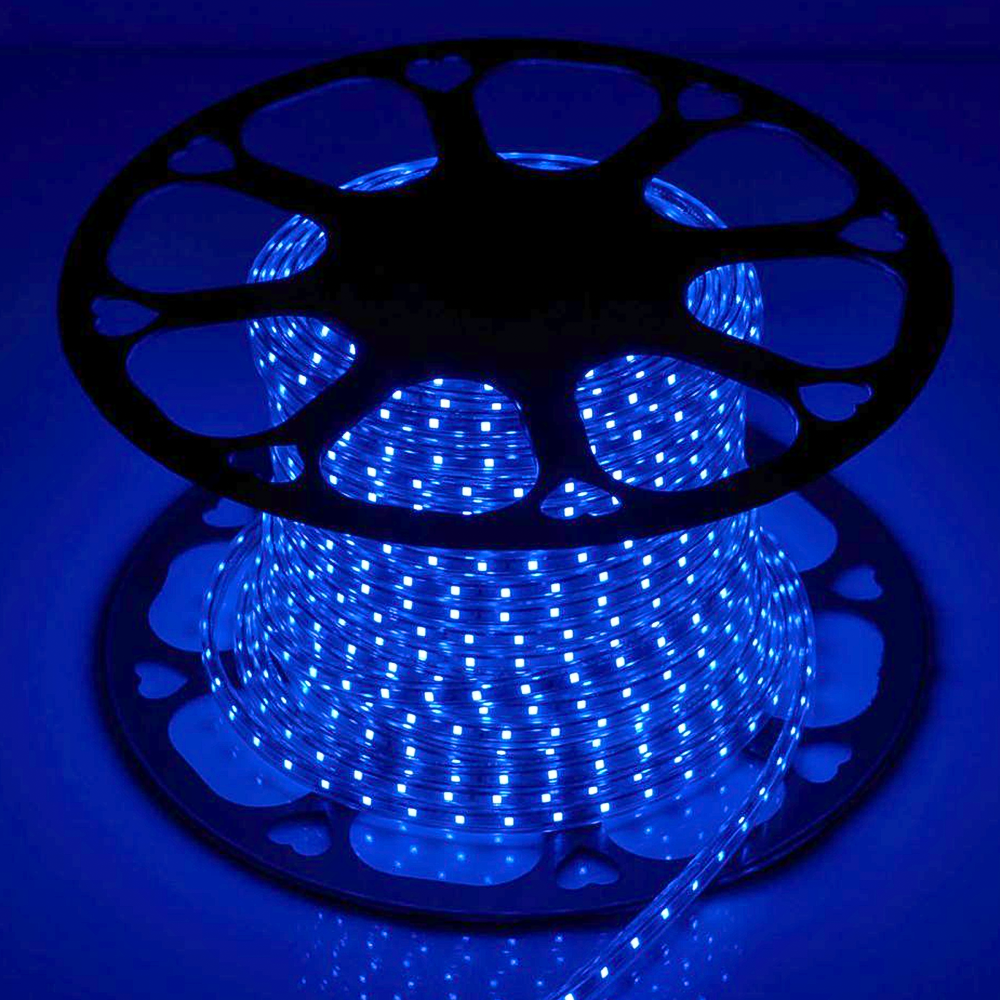 Вулична світлодіодна стрічка, 100м, 220V, 100 LED на метр, Синій