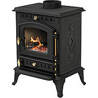 Чавунна дров'яна піч-камін THUNDER Agni 7кВт