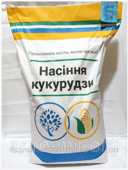 Насіння кукурудзи ДН Ксена (ФАО 290)