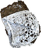 Маскувальна сітка 5х6 двостороння подвійна. Біла з коричневим Зима №1 / Осінь №2, фото 8