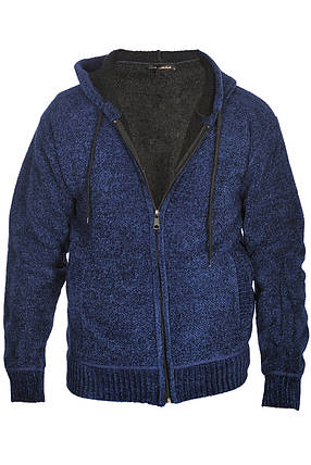 Кофта чоловіча Tony Michael 24-2038 синя, фото 1