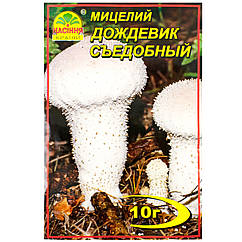 Міцелій Дощовик їстівний 10 г Насіння країні