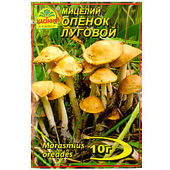 Міцелій Опеньок луговий 10 г Насіння країни