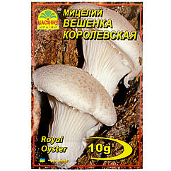 Міцелій Глива королівська 10 г Насіння країни