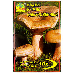 Міцелій Рижик звичайний 10 г Насіння країні