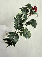 Гілочка падуба з ягодами для новорічного декору ( упаковка 5 штук ), фото 5
