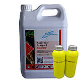 Гербіцид Авангард розлив 1л для цукрових буряків, кукурудзи, соняшнику, сої, гороху, ріпаку, картоплі - метолахлор, 960 г/л, фото 2