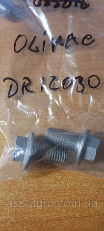 DR12030 Болт  Olimac Drago, фото 1