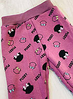 Лосини утеплені для дівчат оптом, S&D, 1-5 років, № CH-7174, фото 3