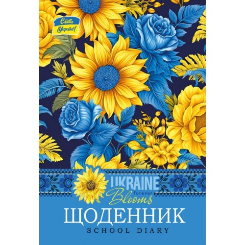Щоденник шкільний B5 24091 40 аркушів Мандарин