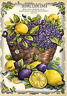 Декупажна карта 21х30см DK LV-