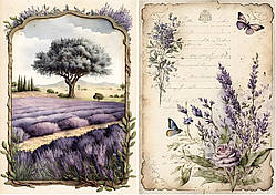 Декупажна карта 21х30см DK LV-