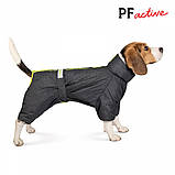 Комбінезон Pet Fashion Cold сірий для собак ML PR242628, фото 4