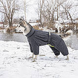 Комбінезон Pet Fashion Cold сірий для собак ML PR242628, фото 6
