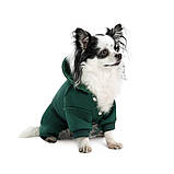 Костюм Pet Fashion Berry для собак розмір L PR243764, фото 3