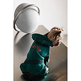 Костюм Pet Fashion Berry для собак розмір L PR243764, фото 4