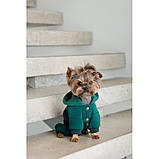 Костюм Pet Fashion Berry для собак розмір L PR243764, фото 5