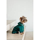 Костюм Pet Fashion Berry для собак розмір L PR243764, фото 6