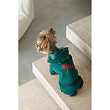 Костюм Pet Fashion Berry для собак розмір L PR243764, фото 7