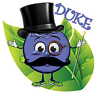 Саджанець лохина ДЮК (Duke) 3 річні