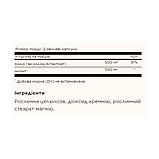 Choline/Inositol 500 mg/500 mg - 100 vcaps, фото 3
