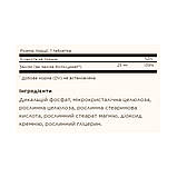 Chelated Iron - 100 tabs, фото 3