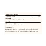 Chelated Manganese - 100 tabs, фото 3
