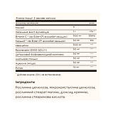 Quercetin Complex with Ester-C® Plus - 50 vcaps, фото 3